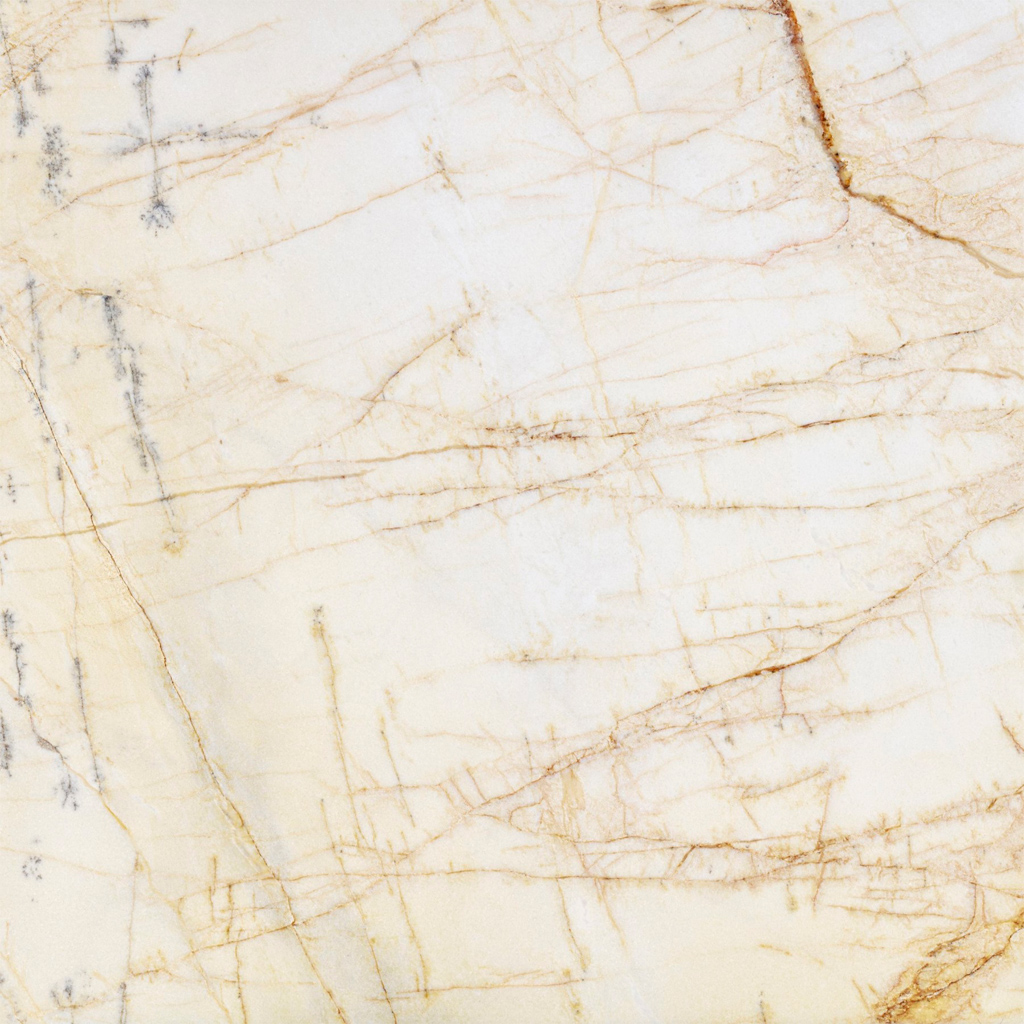 Interior Collection - Natural Stone Tile - Marble Tile - Emotion Spider Marble Texture