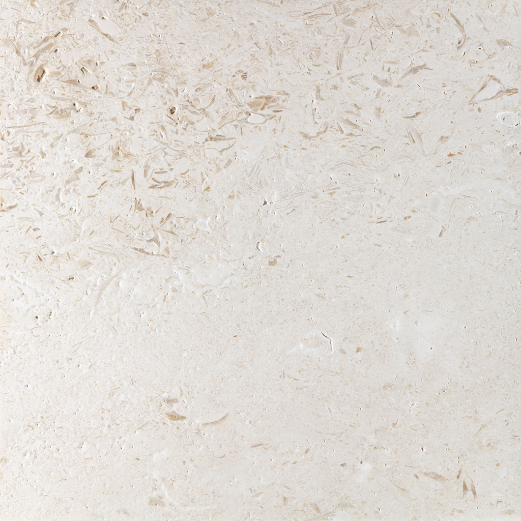 Hurok Marble - Interior Collection - Natural Stone Tiles - Myra Shellstone Travertine Texture